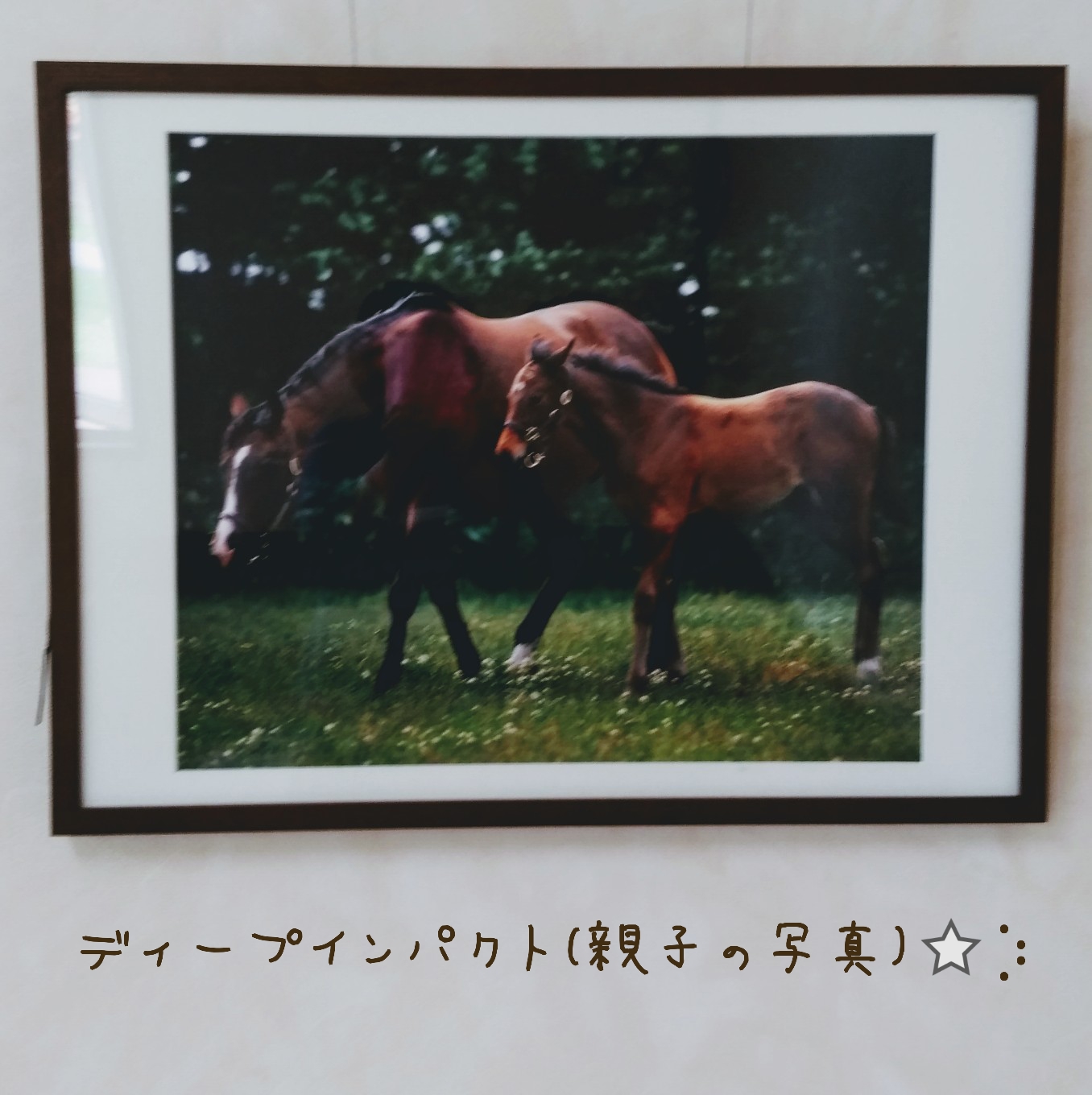 002/ただいまです⭐⡱