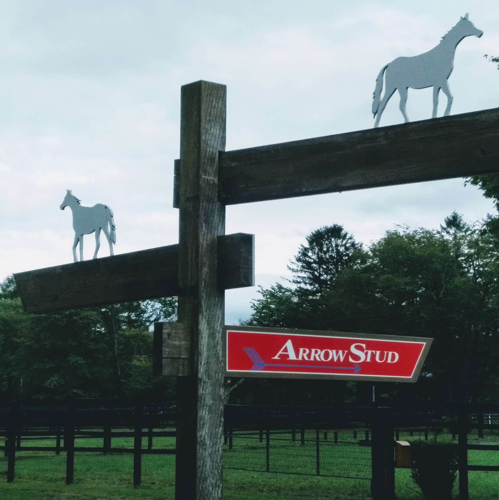 007/アロースタッドへ見学