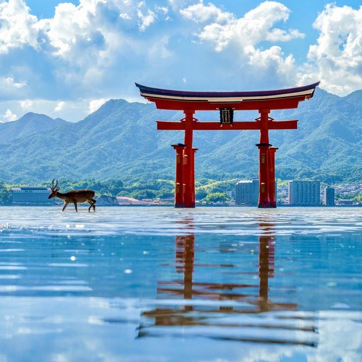 卒業旅行