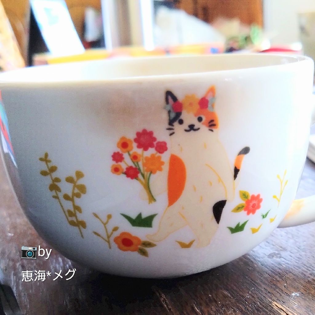 恵海*メグ*