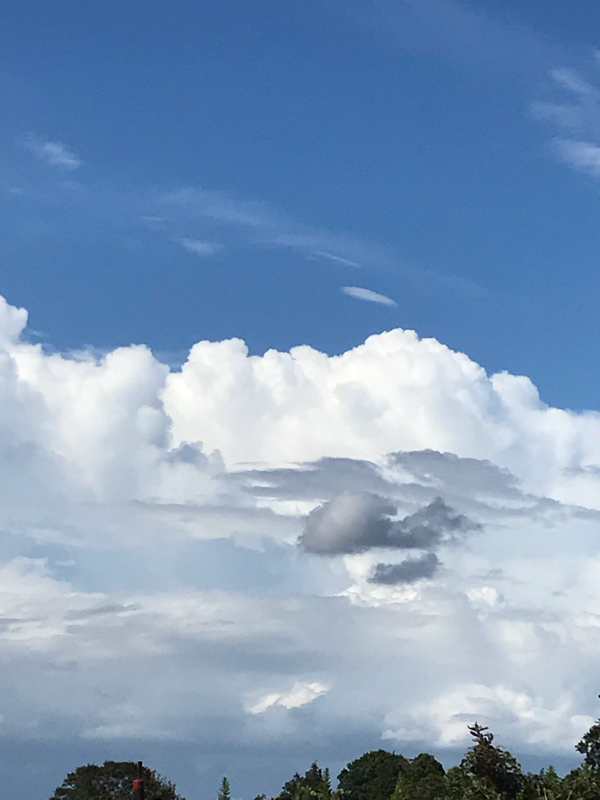 はじめまして #1