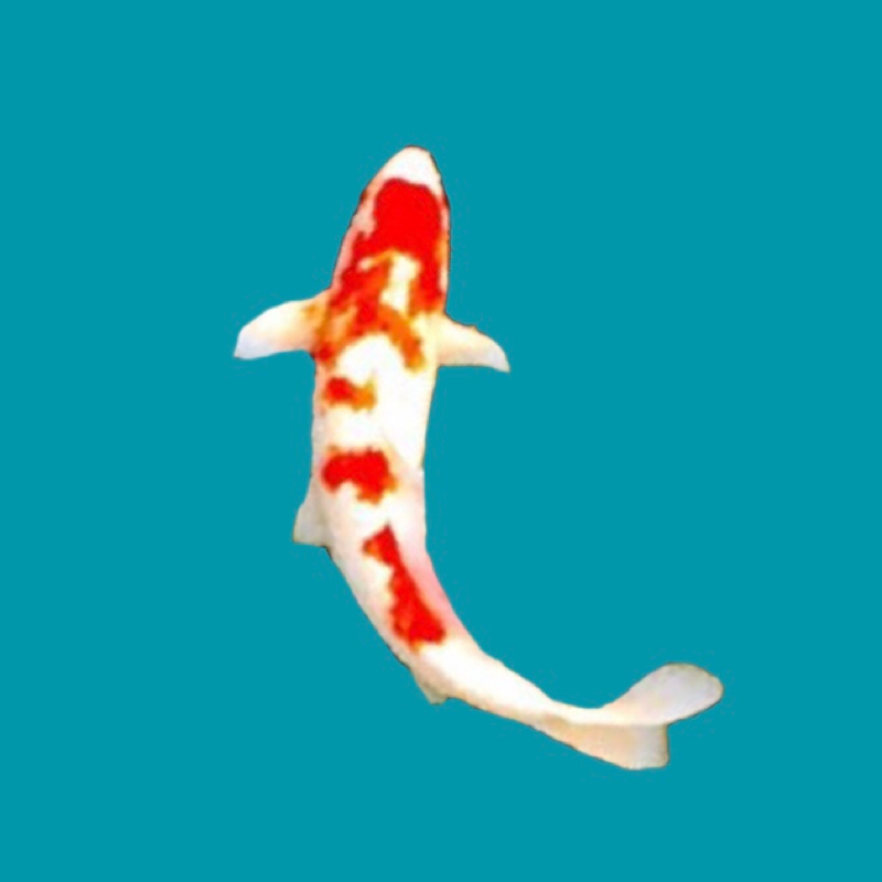 原稿からの現実逃避