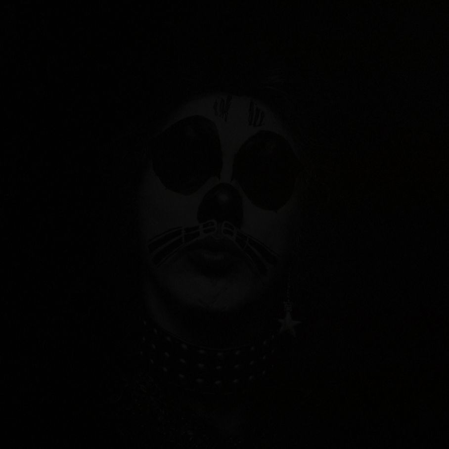 6 6 6 