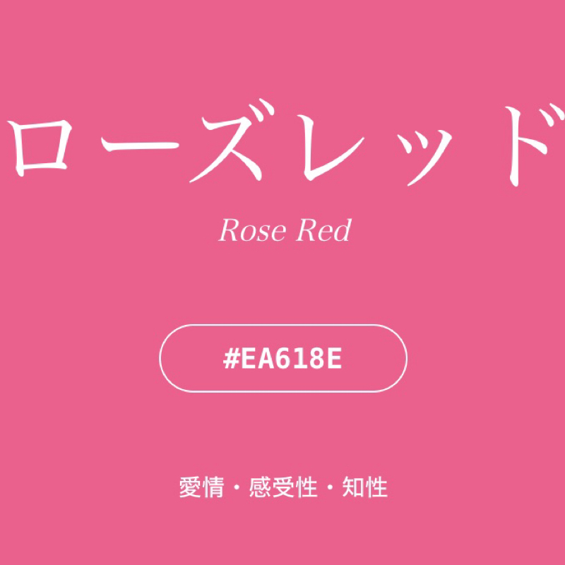 kinoriの番組