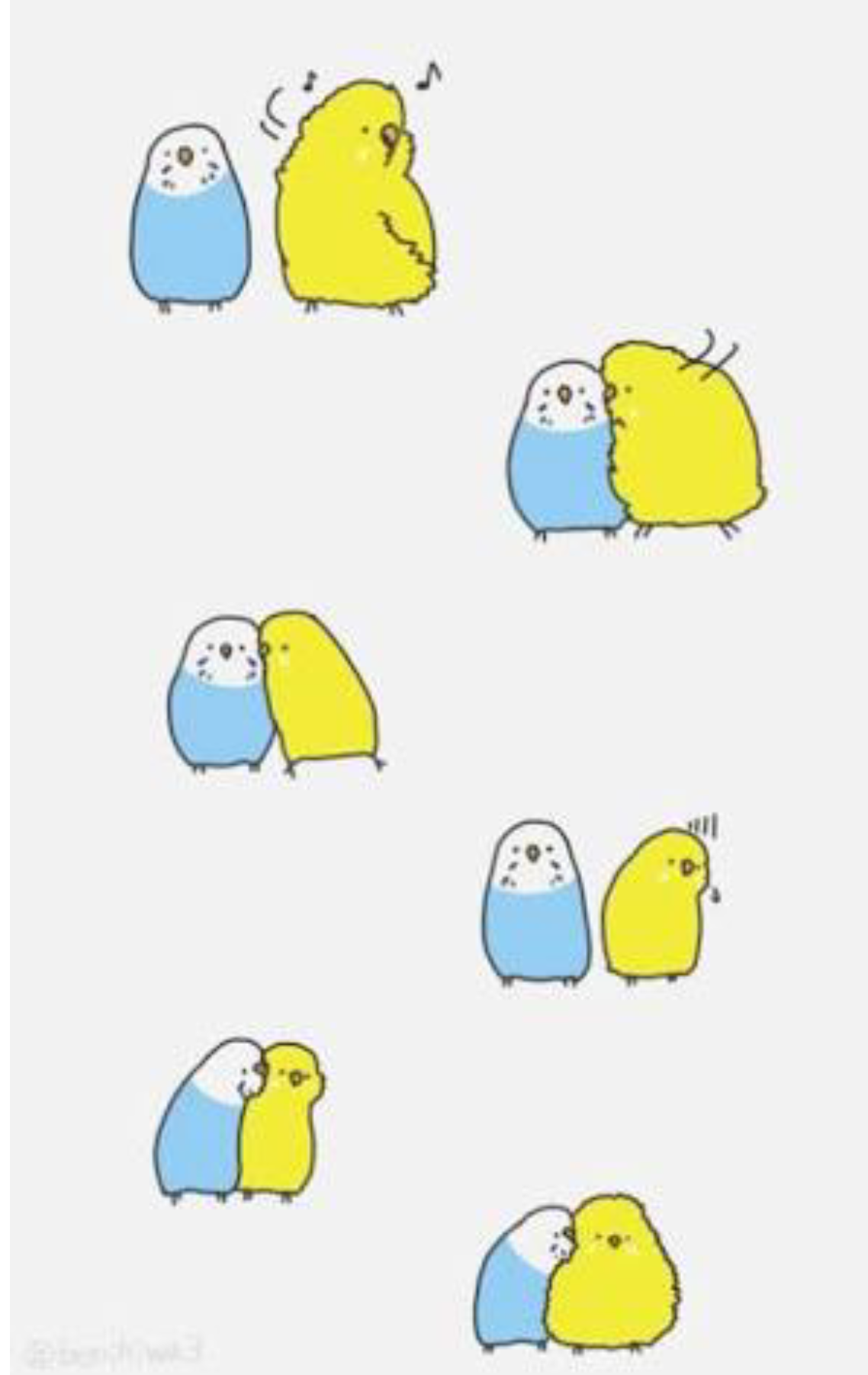 ことり🐥のお部屋