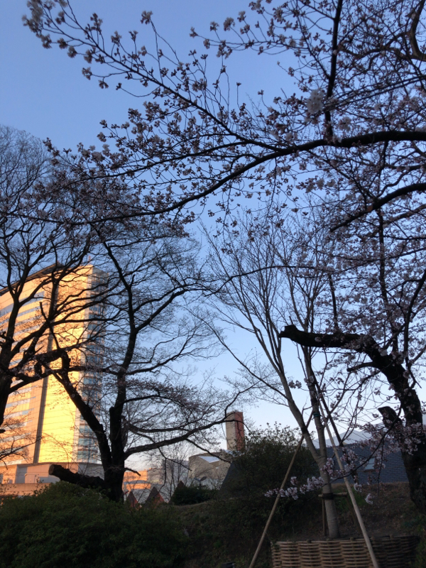 #1 初ラヂオ  グダグダ