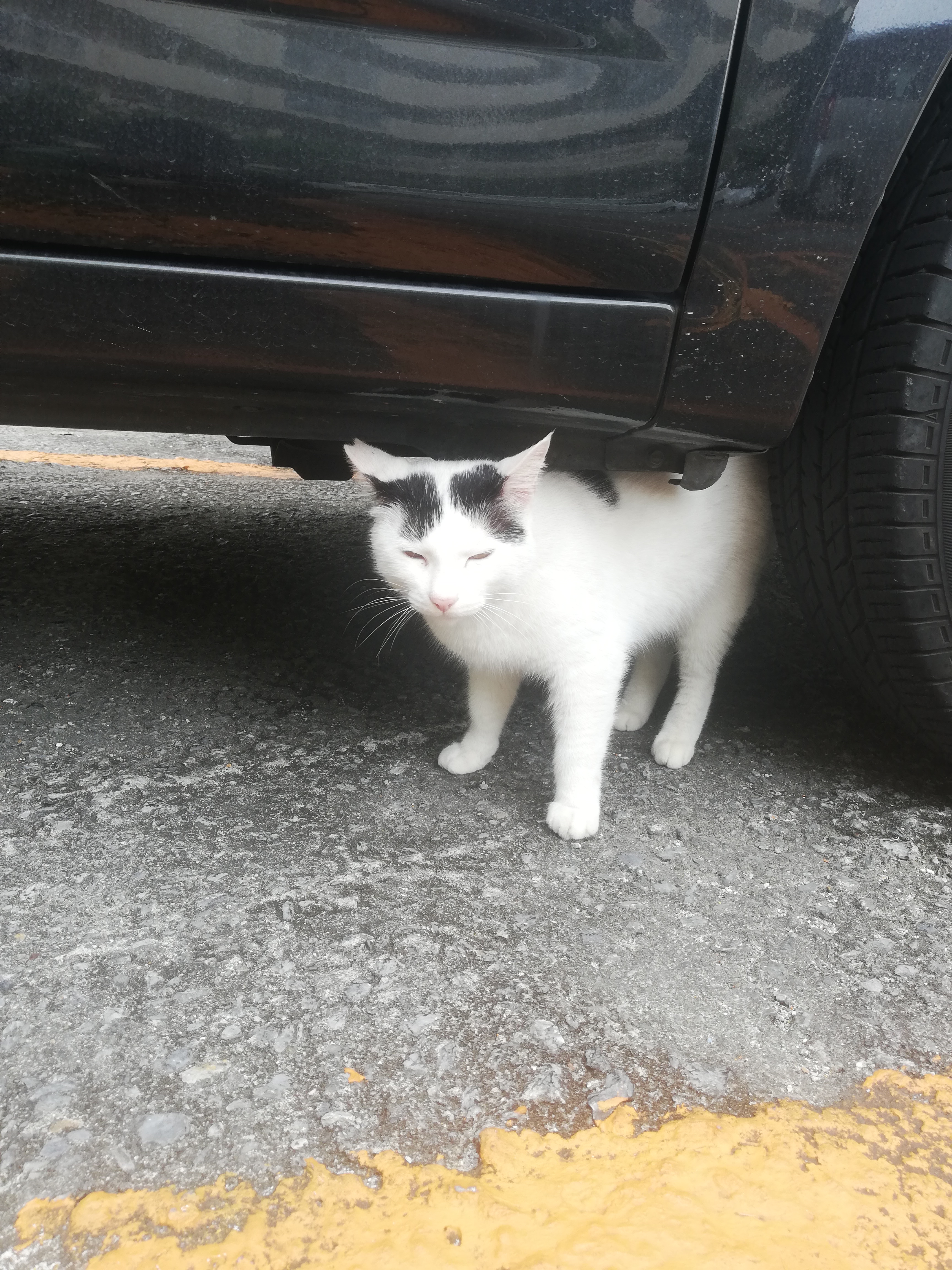 人生の終わりかた