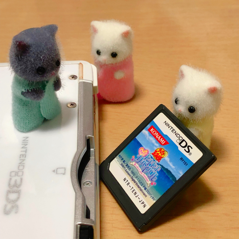 新アルパカ牧場での話