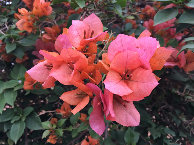  深夜気分ラヂオ