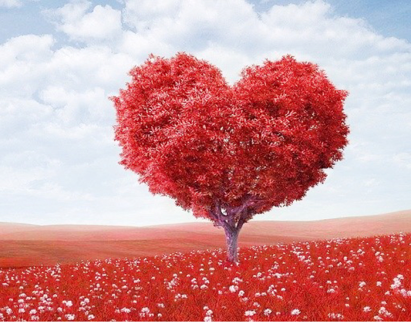 はじめまして♡