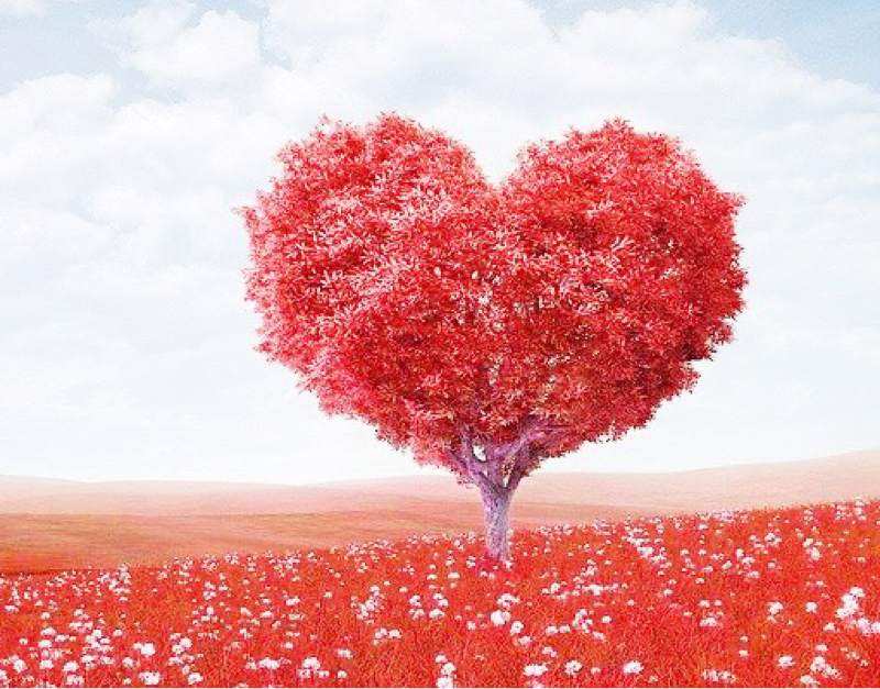 etude3 実家に帰省しました♡