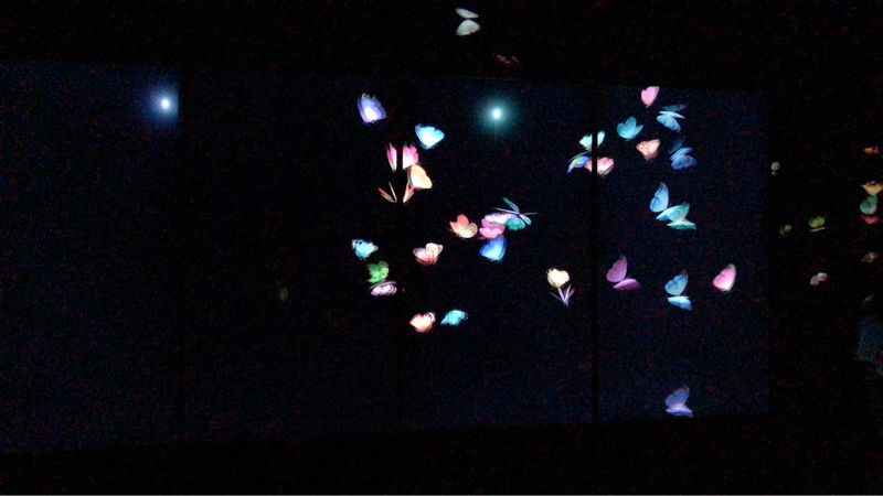 こんばんは？おはよう？おやすみなさい！