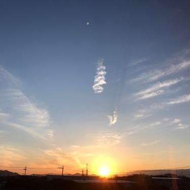 コーヒーカップを底から見れば