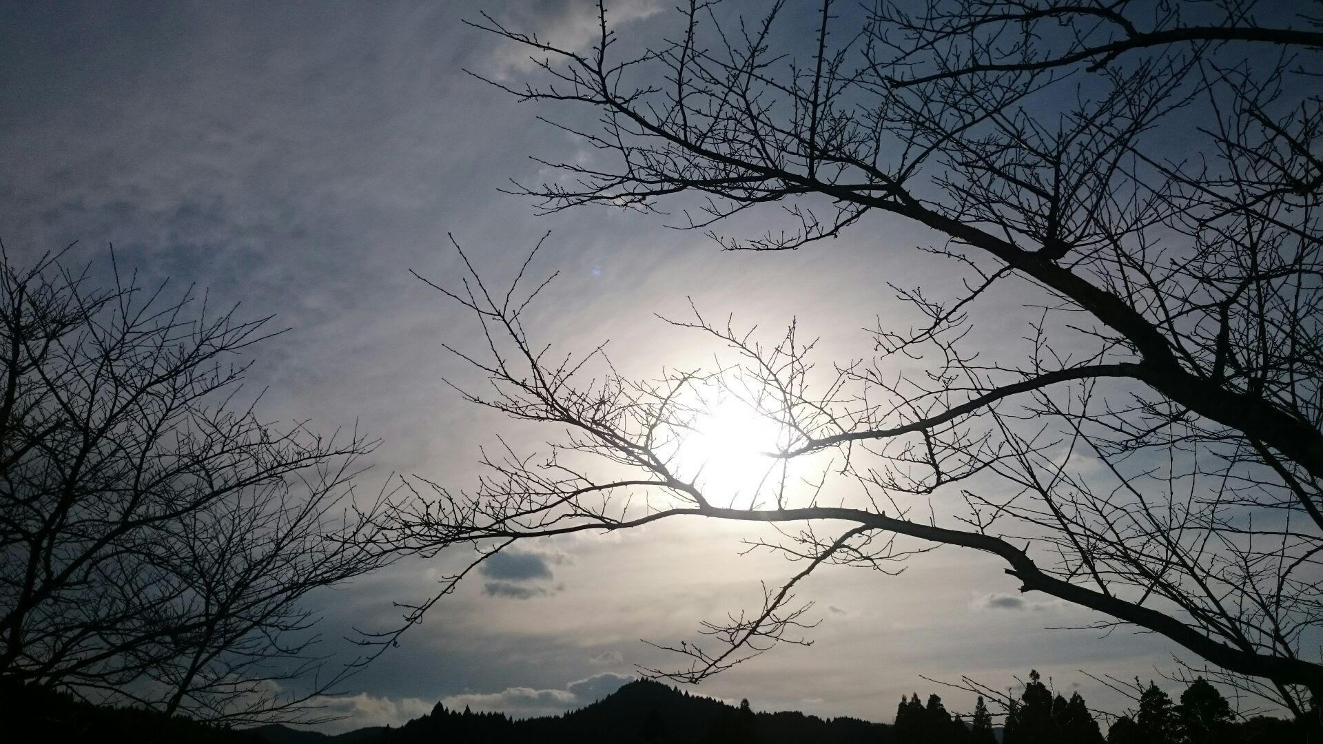 冬の空