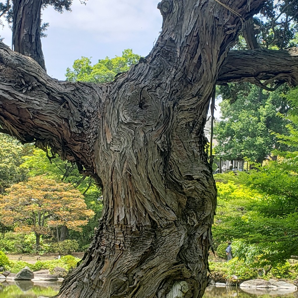 1.エアプ二次創作