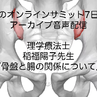 #53:腸のオンラインサミットアーカイブ版7日目(骨盤と腸の関係について)