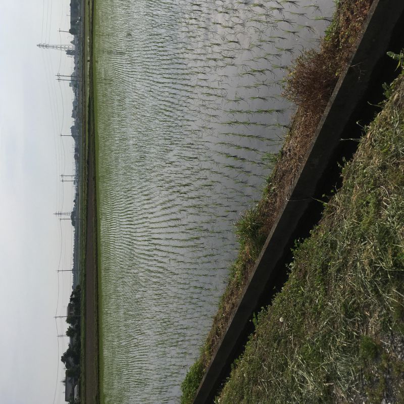 4回目 ホース 夫婦 馬鹿野郎