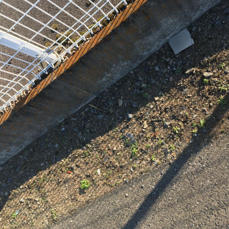 6回目 回転数 滅菌 バランス