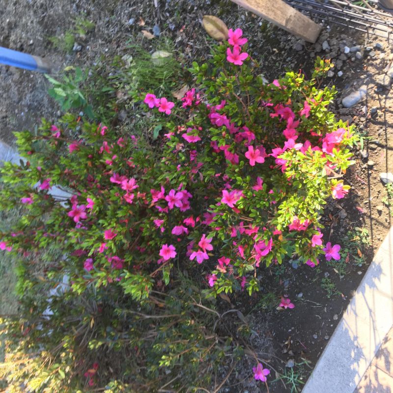 7回目 量と質 きっかけ 継続