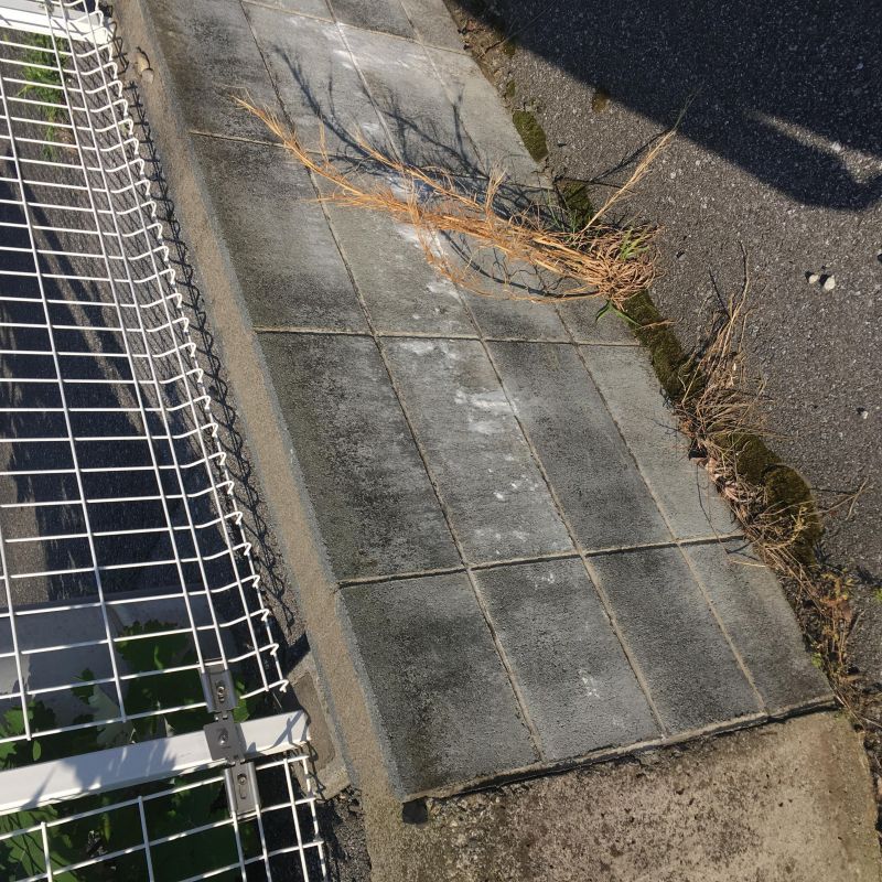 8回目 辻元 視点 深さ