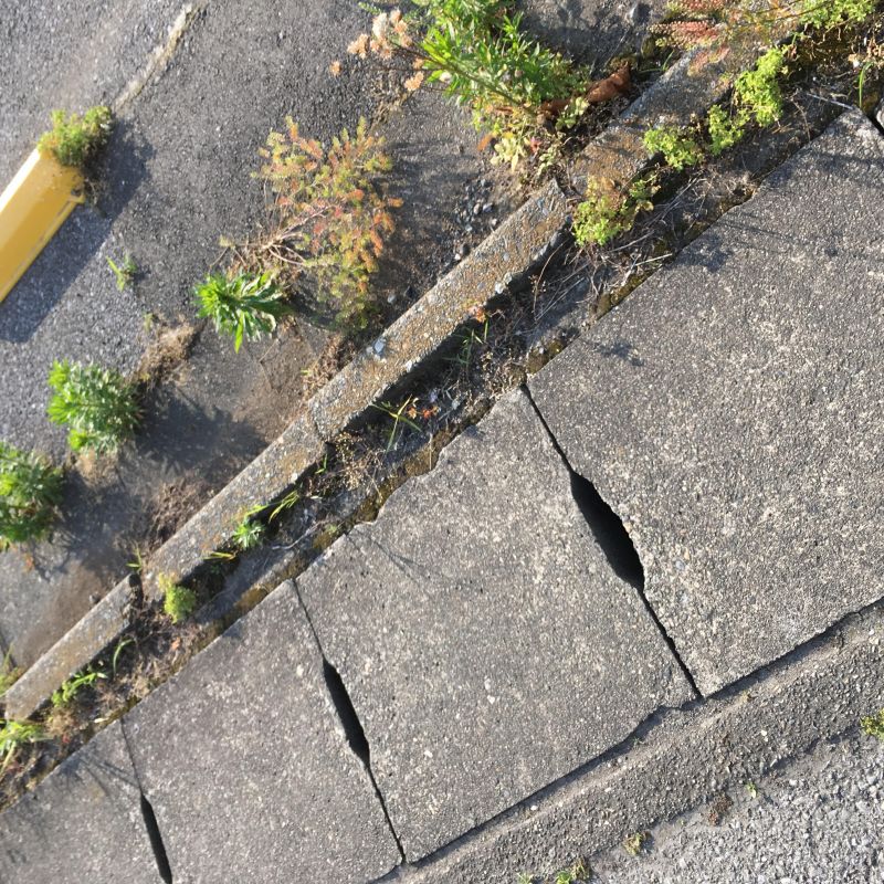 15回目 条約 方式 風呂場