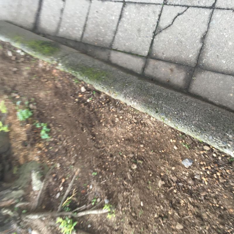 16回目 責任 カンボジア 自給自足