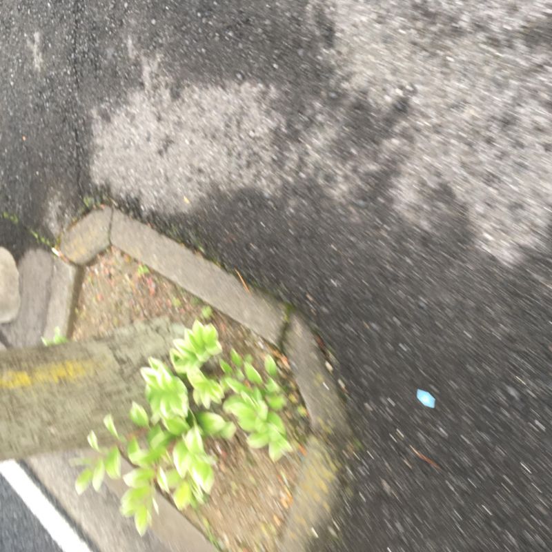 17回目 牛乳 名作 少年