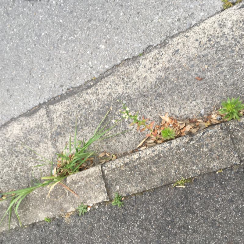 18回目 金塊 西本 霊柩車