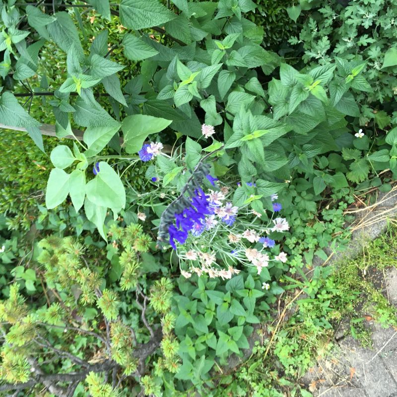 20回目 未解決 ルール 遠回り