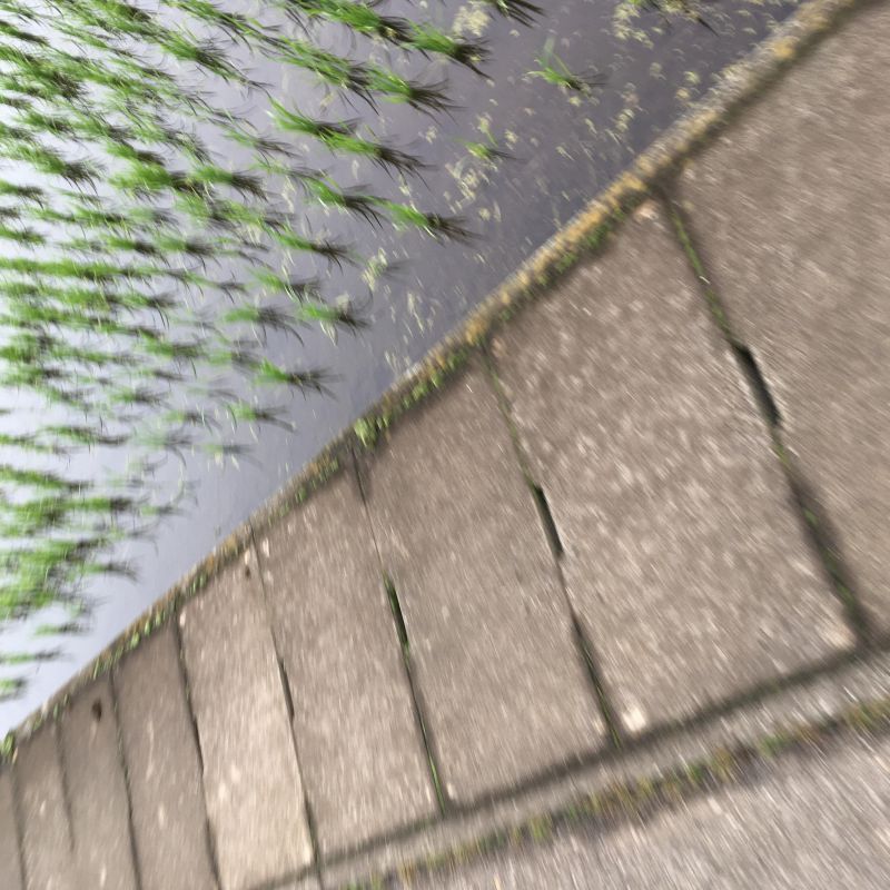 23回目 レビュー 画面  辞書