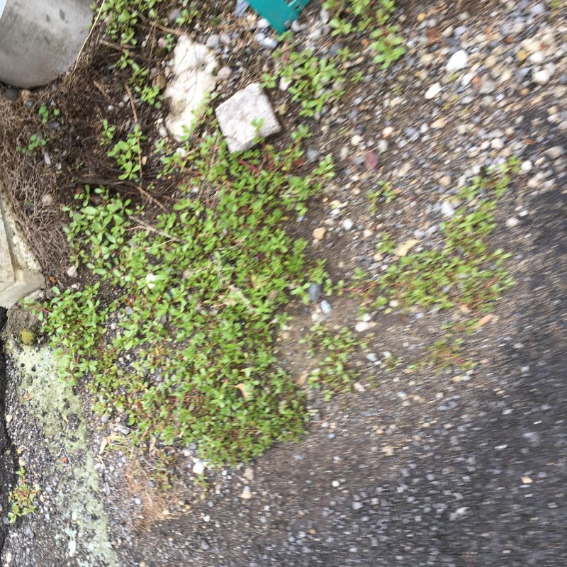 28回目 価値観 真逆 長時間