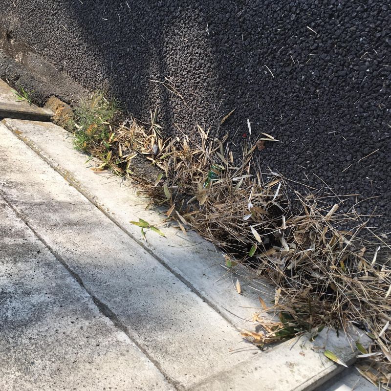 39回目 ラーメン ディズニー シンプル