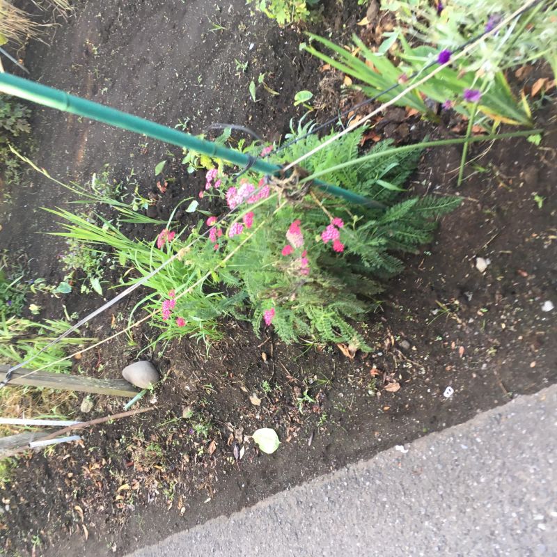 41回目 沖縄 詩 じゃんけん