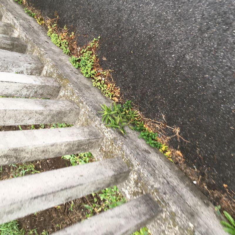 51回目 アルバイト 冷凍庫 トロトロ