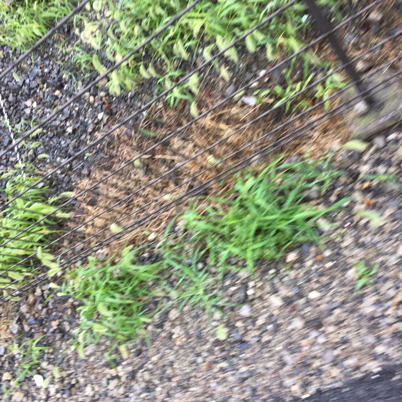 52回目 バター 馬鈴薯 神様