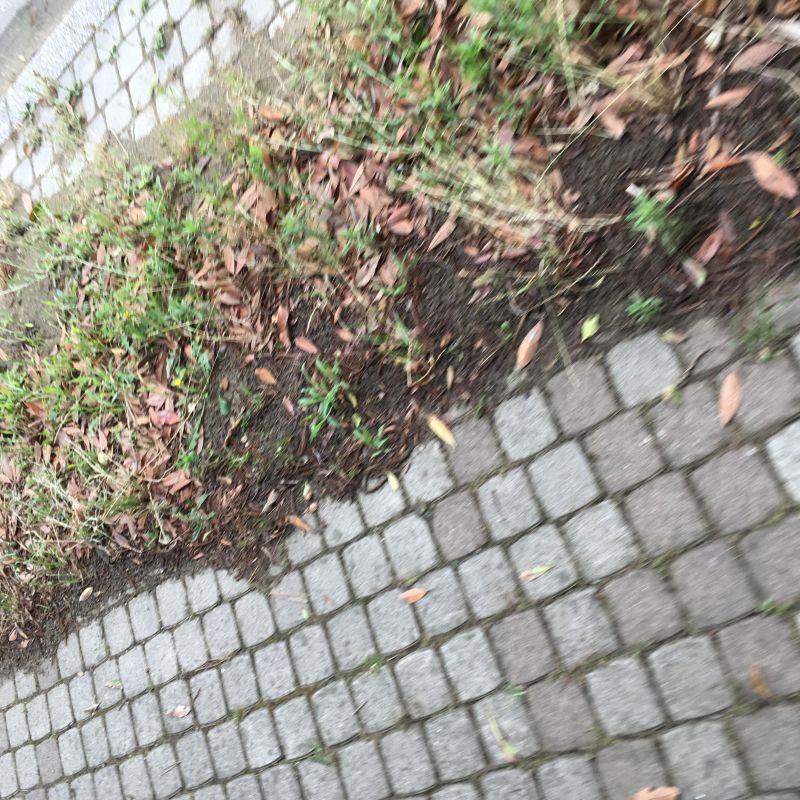 54回目 地震 涙 バズ