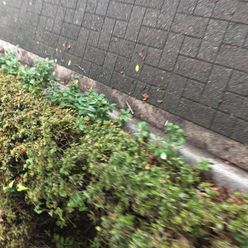 56回目 罪 反対 悪