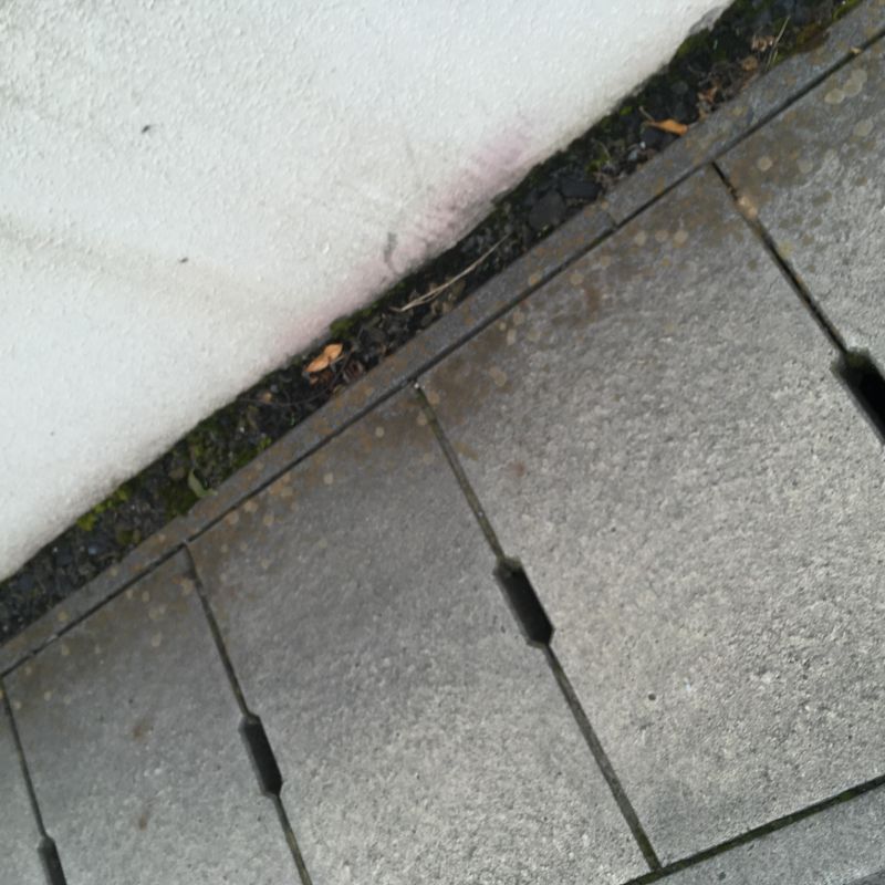 59回目 苦み インスタ 電気