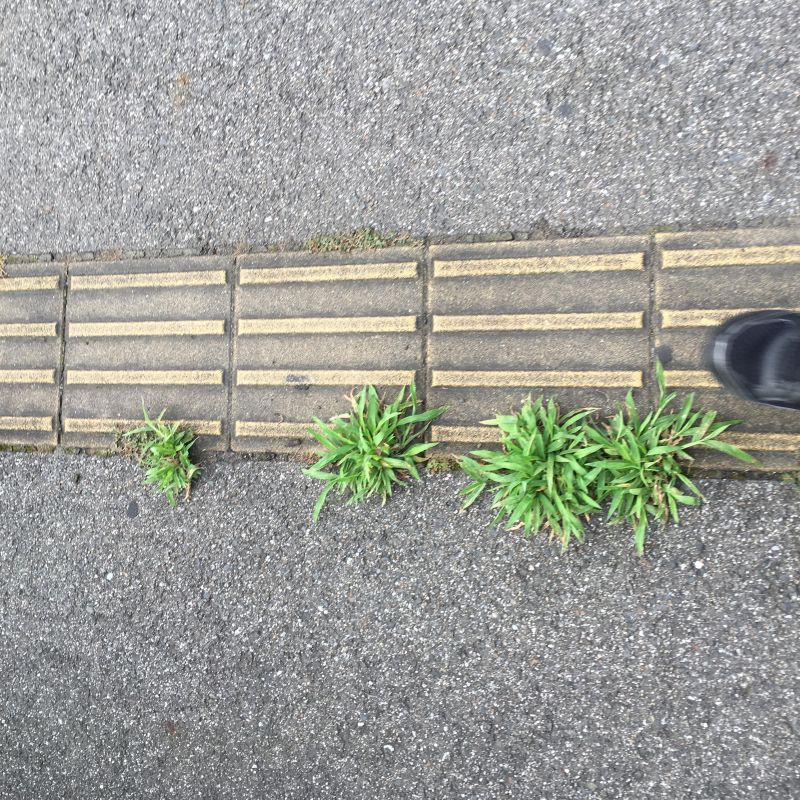 62回目 雑談 常連 記念品