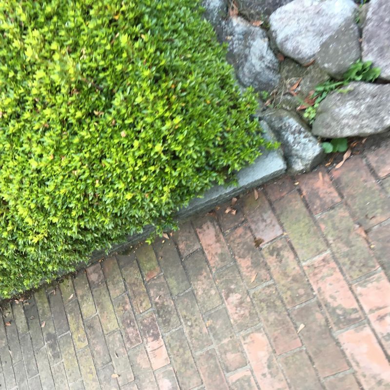 63回目 食材 移動 弁当