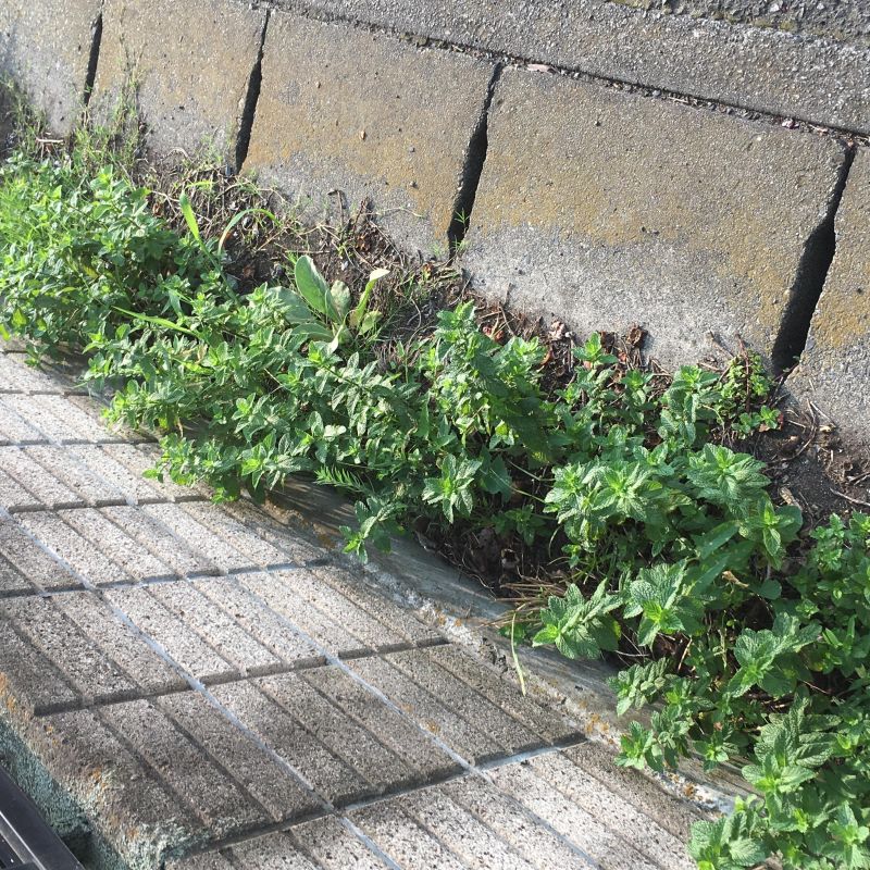 64回目 池袋 早朝 待機