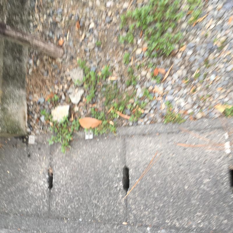 67回目 電子書籍 プライムデー ブックオフ