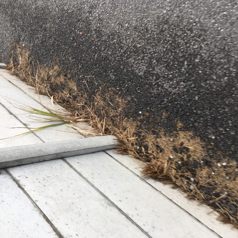 68回目 カワイ 清田 そば屋