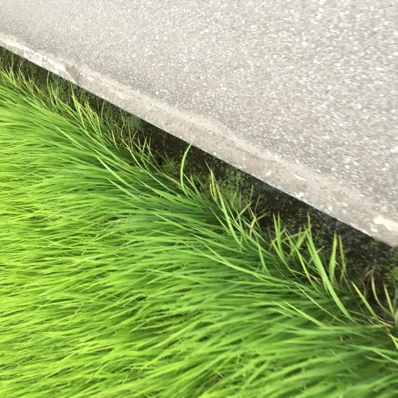 69回目 再生回数 オプエド  上杉