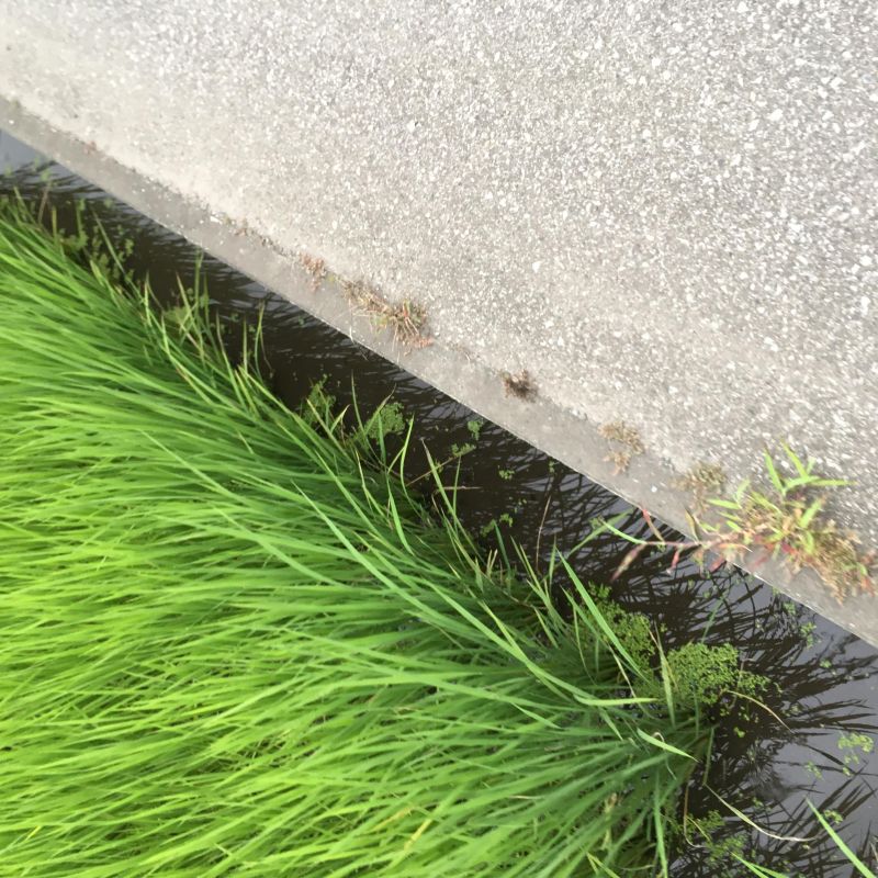 70回目 メディアアナリスト 官房機密費 電事連