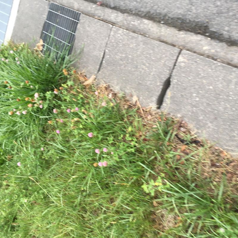 72回目 メディア ツイッター 説明