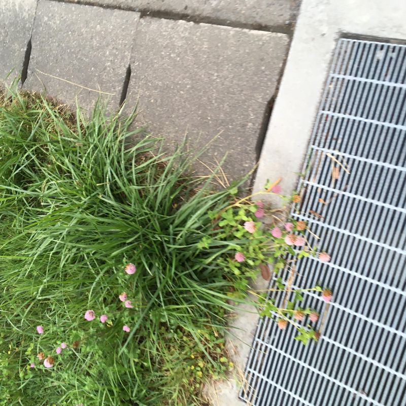 73回目 理想 劣化 モテ