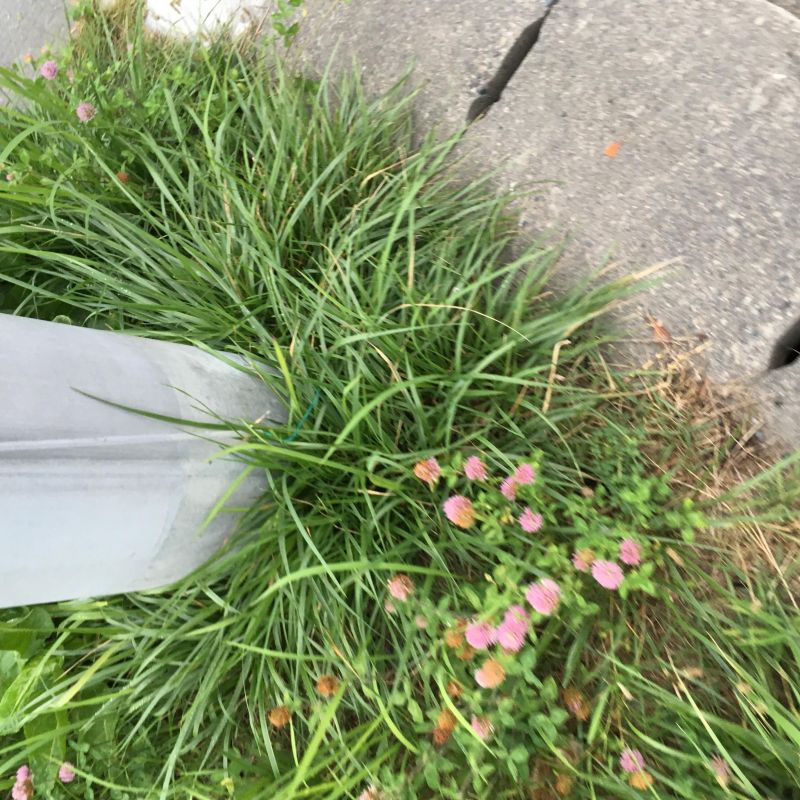 75回目 無関心 店 職業