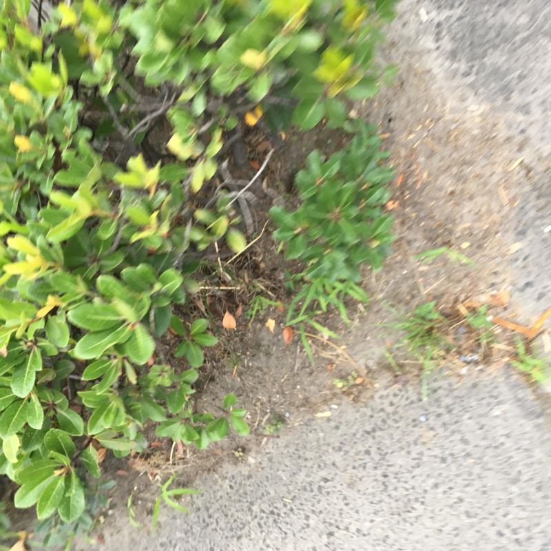 76回目  真面目 RPG 概念