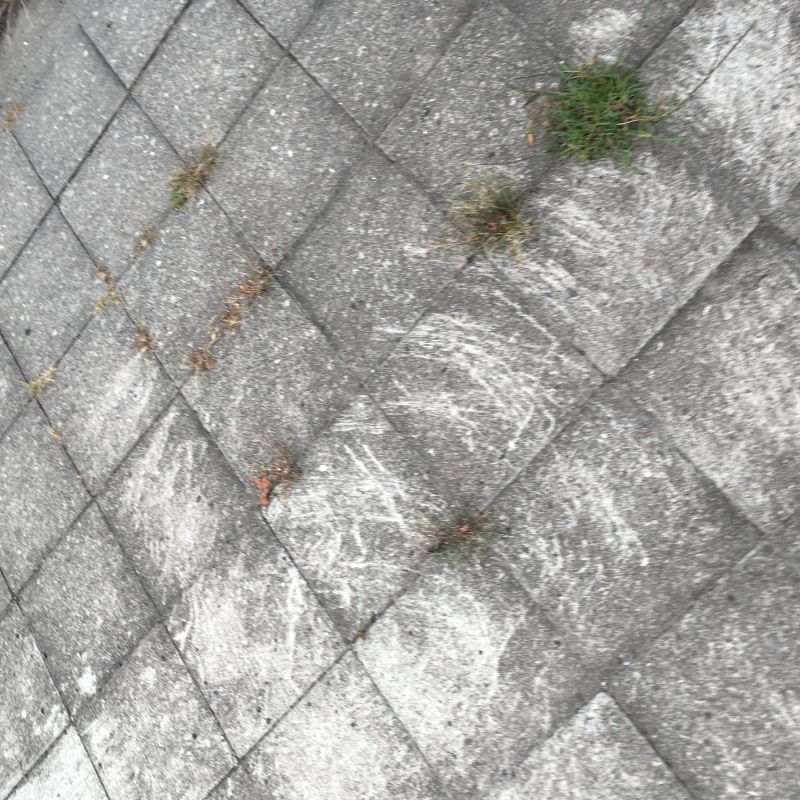 80回目 ソース クレジット バイライン